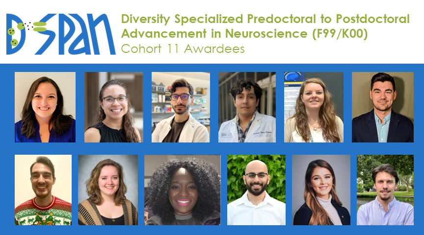 DSPAN Diversity Specialized Predoctoral to Postdoctoral Advancement in Neuroscience (F99/K00) Cohort 11 Awardees.
