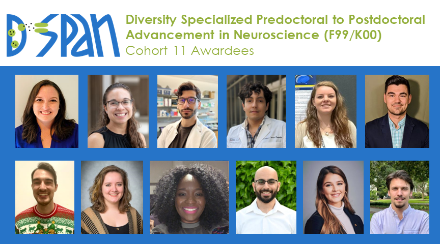 DSPAN Diversity Specialized Predoctoral to Postdoctoral Advancement in Neuroscience (F99/K00) Cohort 11 Awardees. 